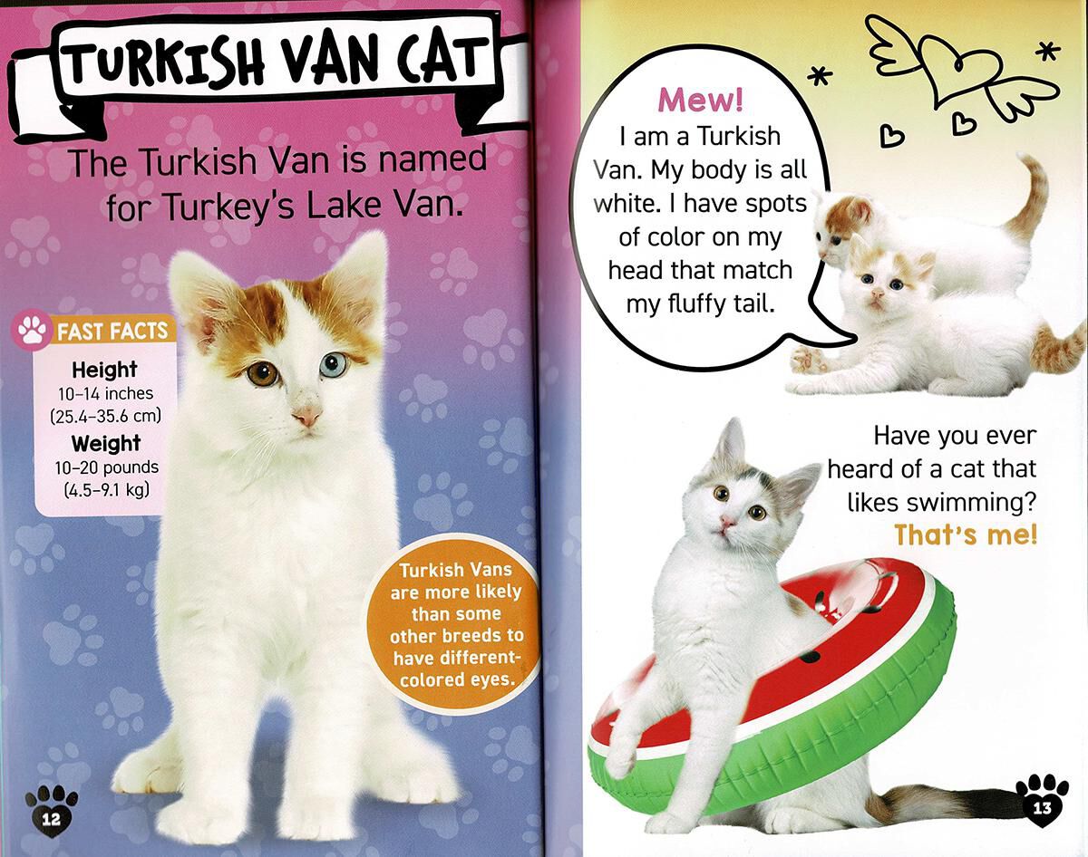 Thumbnail 4Kittens!
