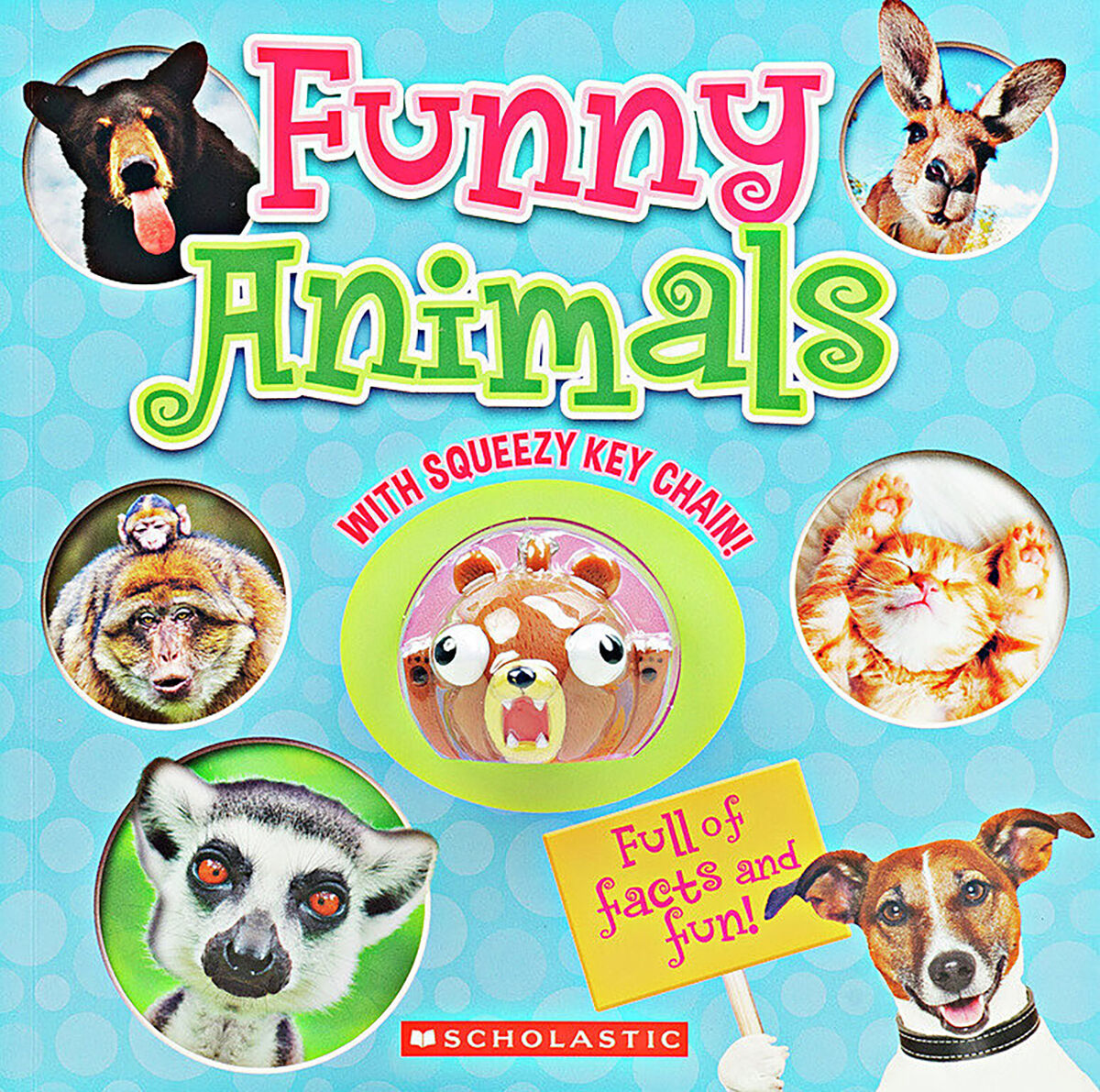 Funny Animals