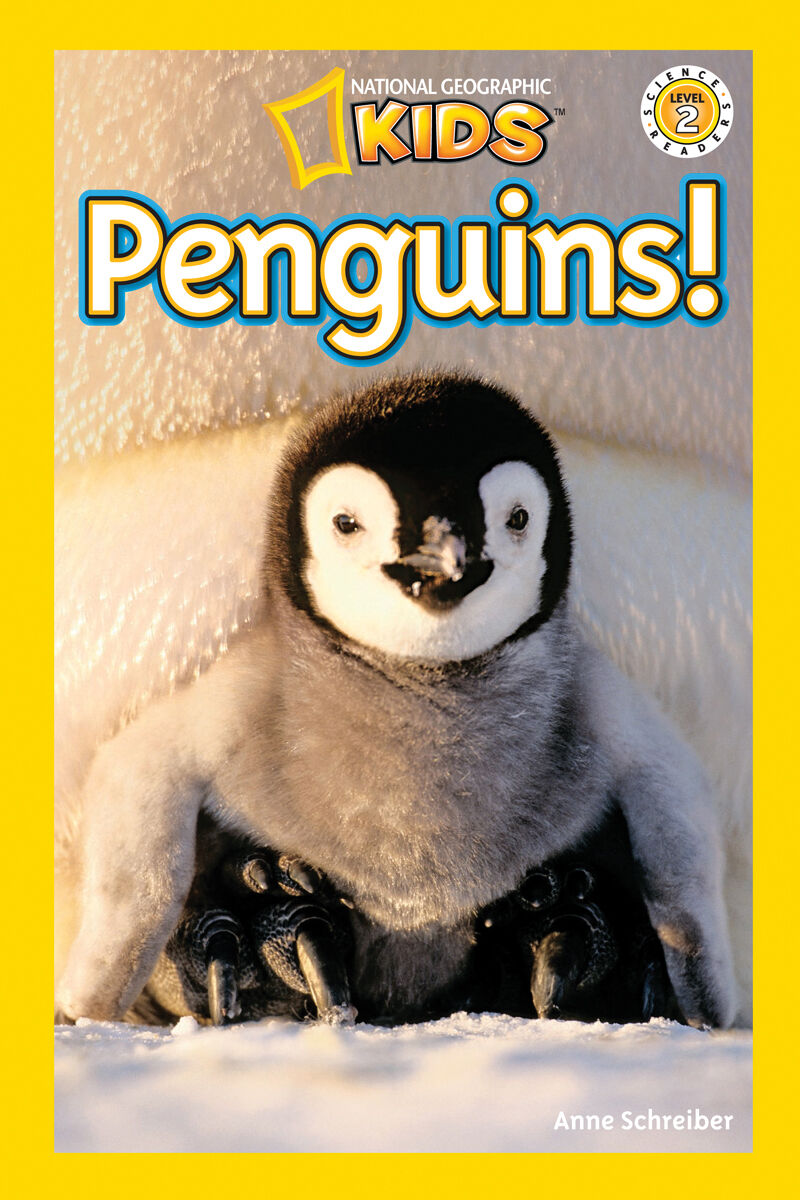 Thumbnail 2National Geographic Kids: Cute Trendy Animal 5 Pack