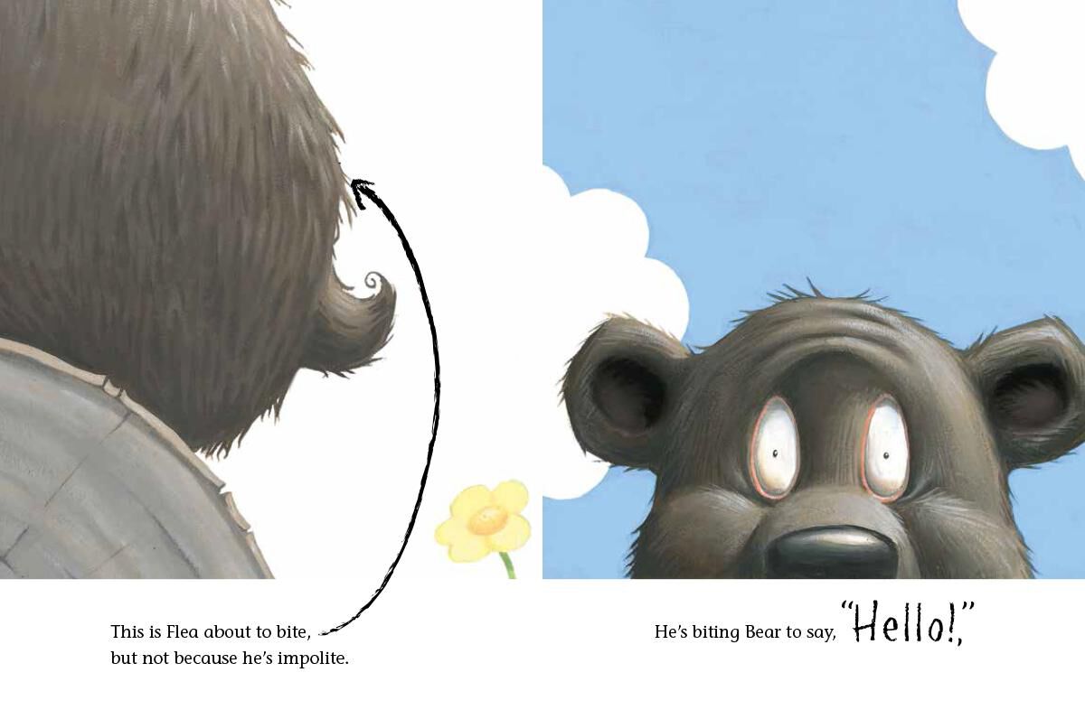 Thumbnail 5 Very Bear Reader 2-Pack 
