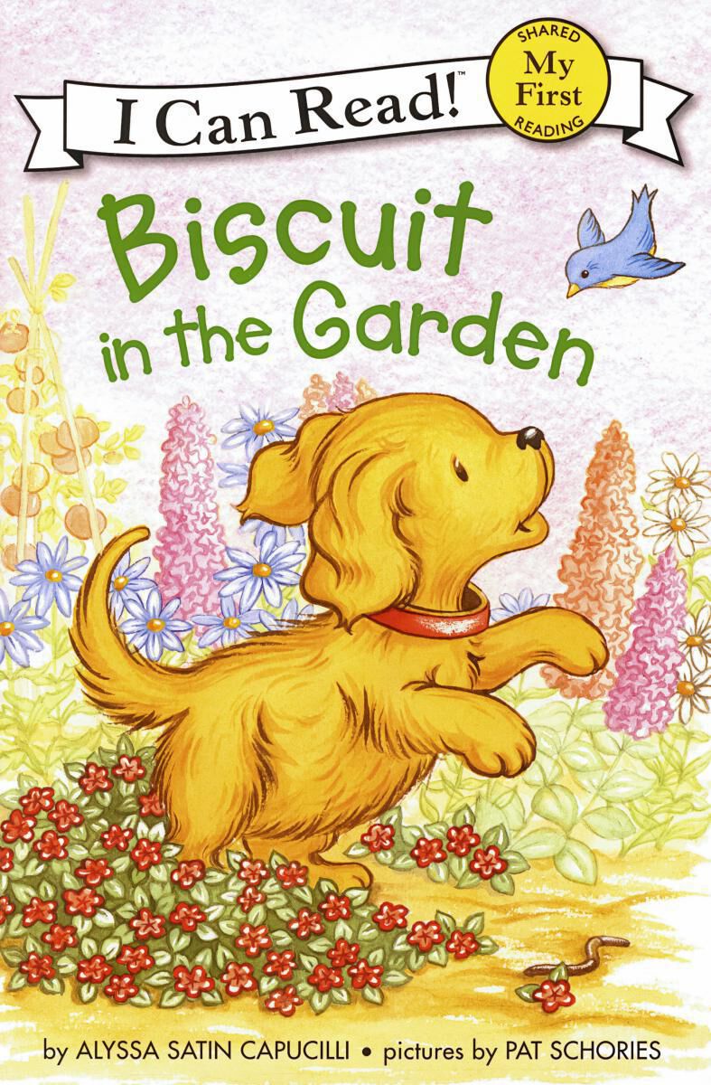 Thumbnail 9 Biscuit Readers 8-Pack 