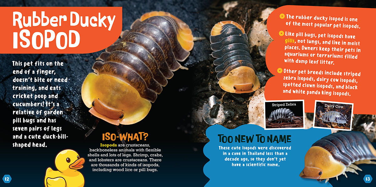 Thumbnail 3 So Weird!: Amazing Animals 