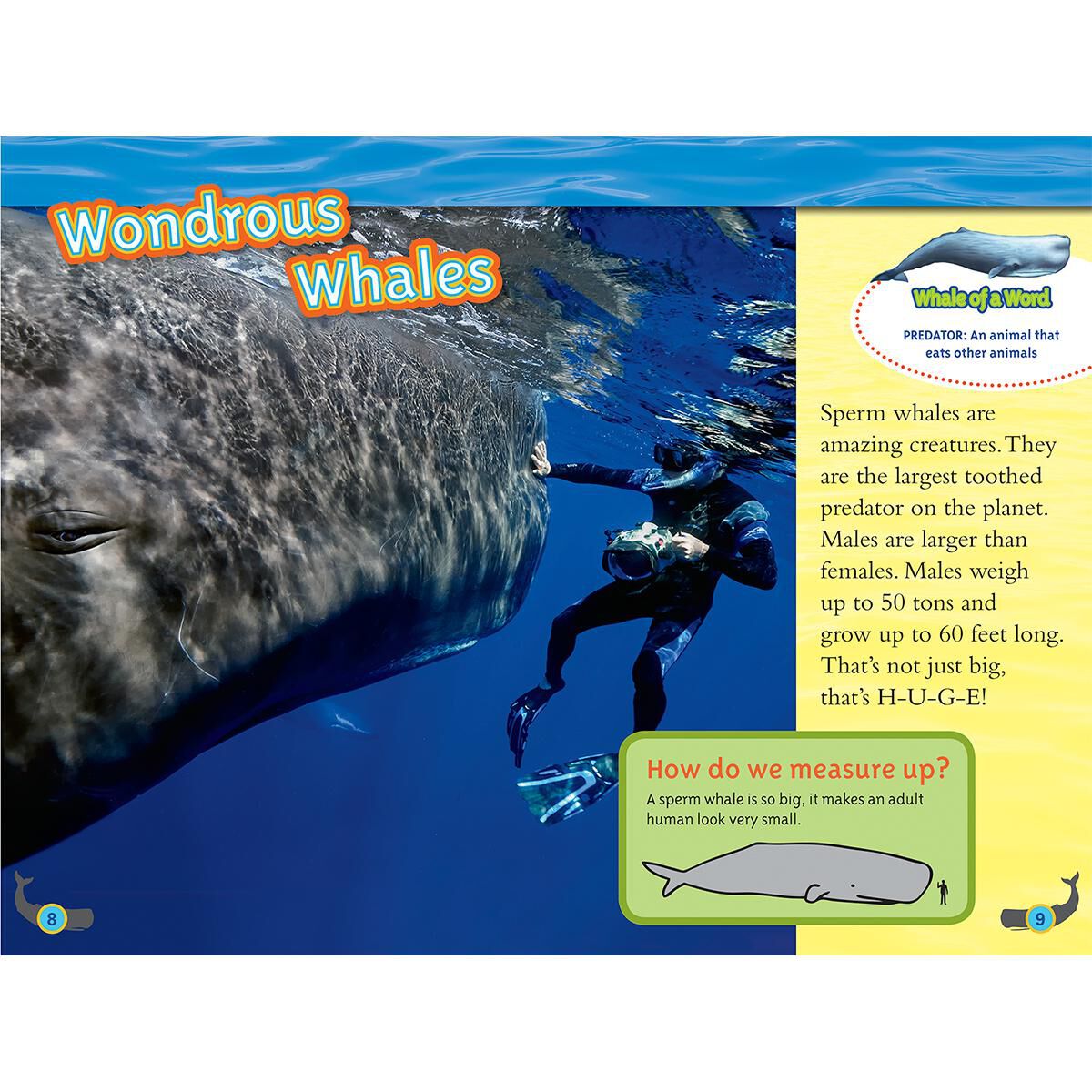 Thumbnail 9 PACK: NG: SEA LIFE READER 4 PACK 