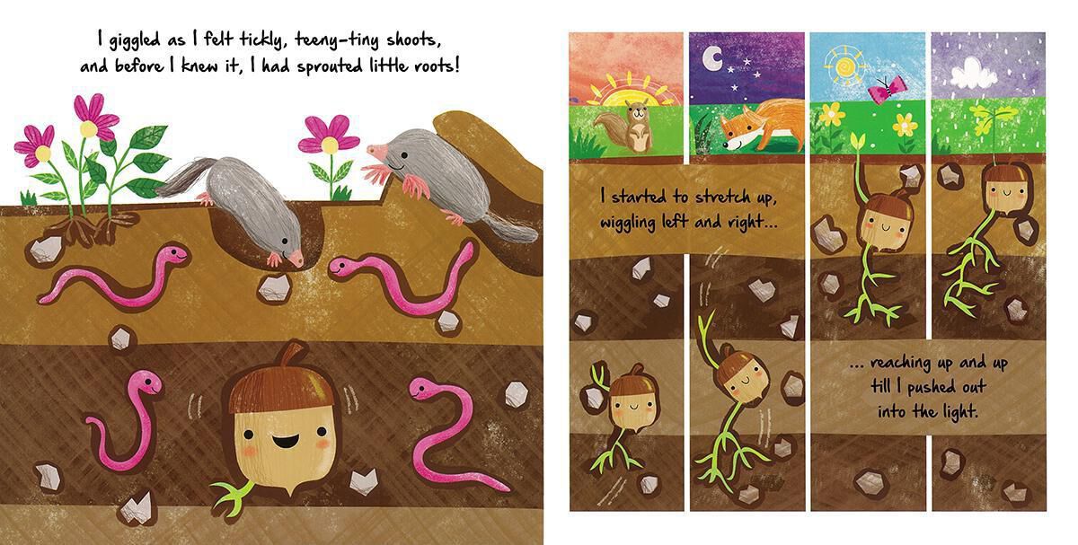 Thumbnail 3 Pumpkin and Acorn Lifecycle 2-Pack 