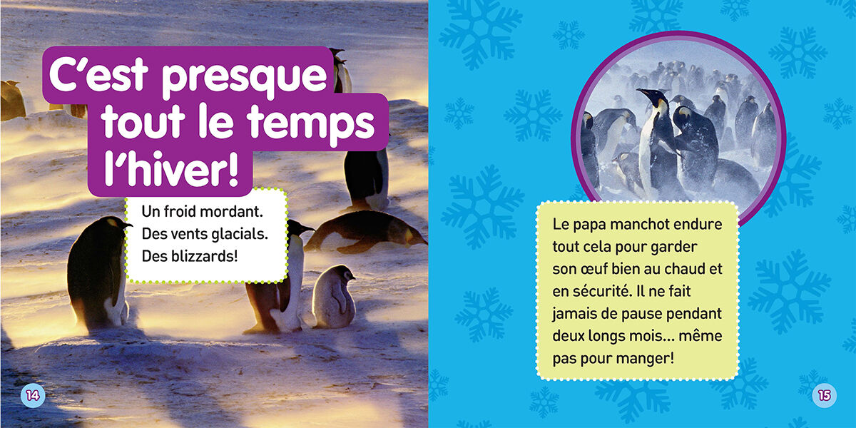 Thumbnail 3 National Geographic Kids : J'explore le monde : Les manchots 