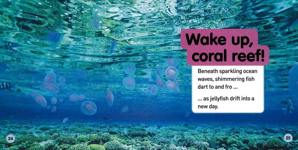 Thumbnail 2 National Geographic Kids: Explore My World: Coral Reefs 