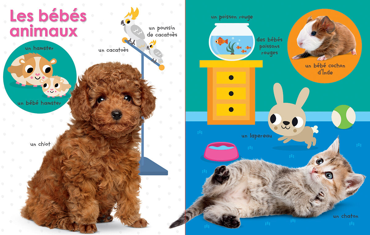 Thumbnail 2Mon premier petit livre : Les b&eacute;b&eacute;s animaux du Canada
