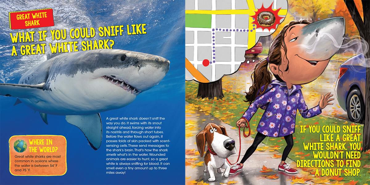 Thumbnail 3What If You Could Sniff Like a Shark 10-Pack