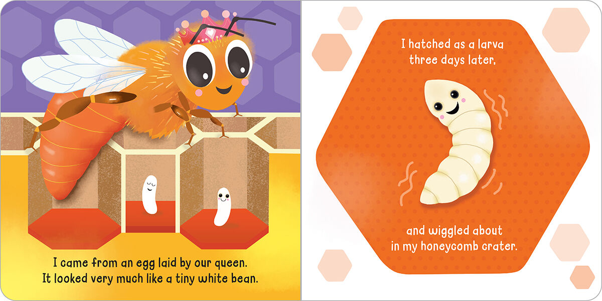 Thumbnail 3 Honeybee 