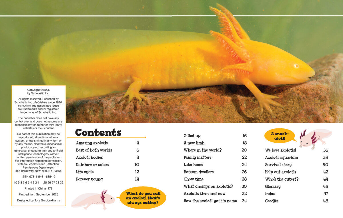 Thumbnail 4Axolotls are Awesome