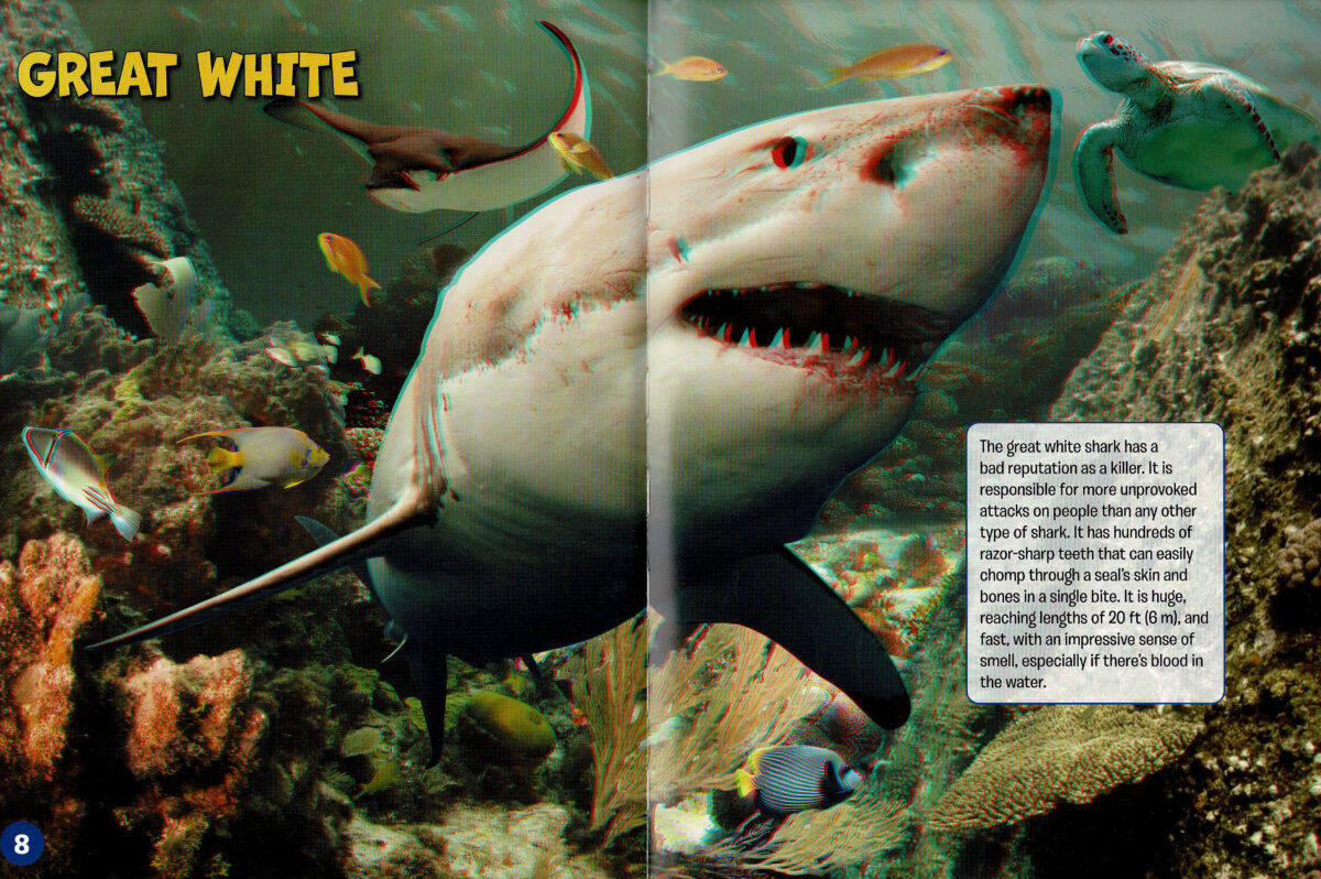 Thumbnail 5 Sharks in Eye-Popping 3D! 