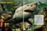 Thumbnail 5 Sharks in Eye-Popping 3D!