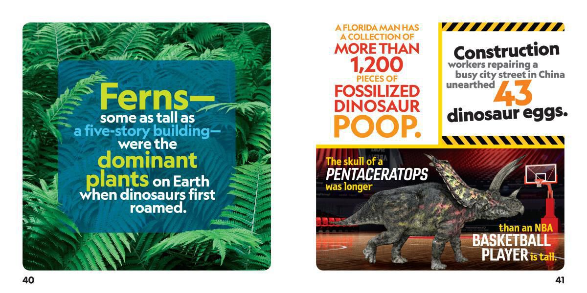 Thumbnail 3 National Geographic Kids: Weird But True! Dinosaurs 