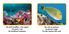 Thumbnail 14 National Geographic Kids : Ensemble de Lecture 2