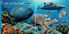 Thumbnail 5 Splash! Into the Big Blue Ocean: A Photo Journey 