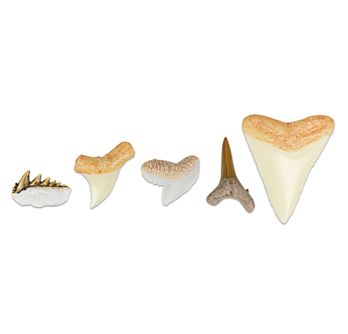 Thumbnail 2 World of Sharks 