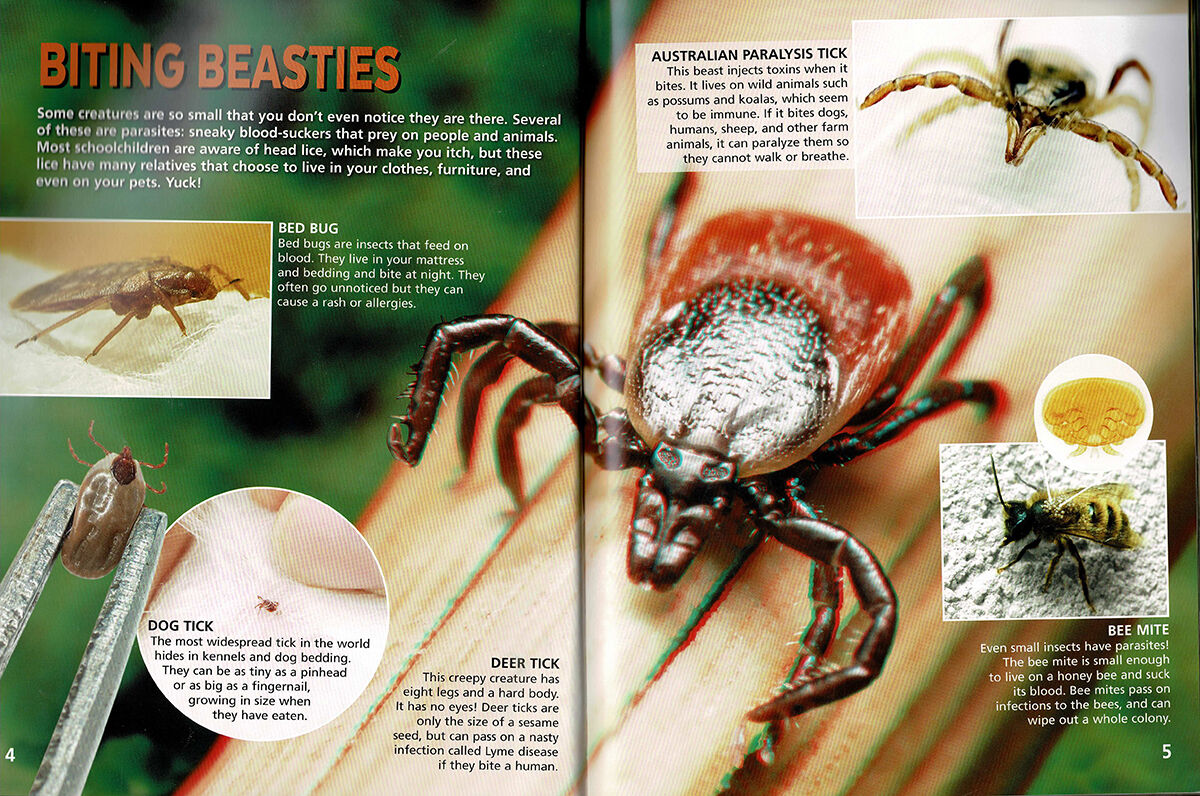 Thumbnail 3 Mini Beasts in 3D 