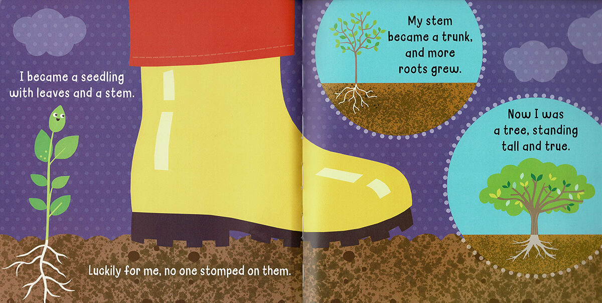 Thumbnail 4 Hello! My Name is... Apple 