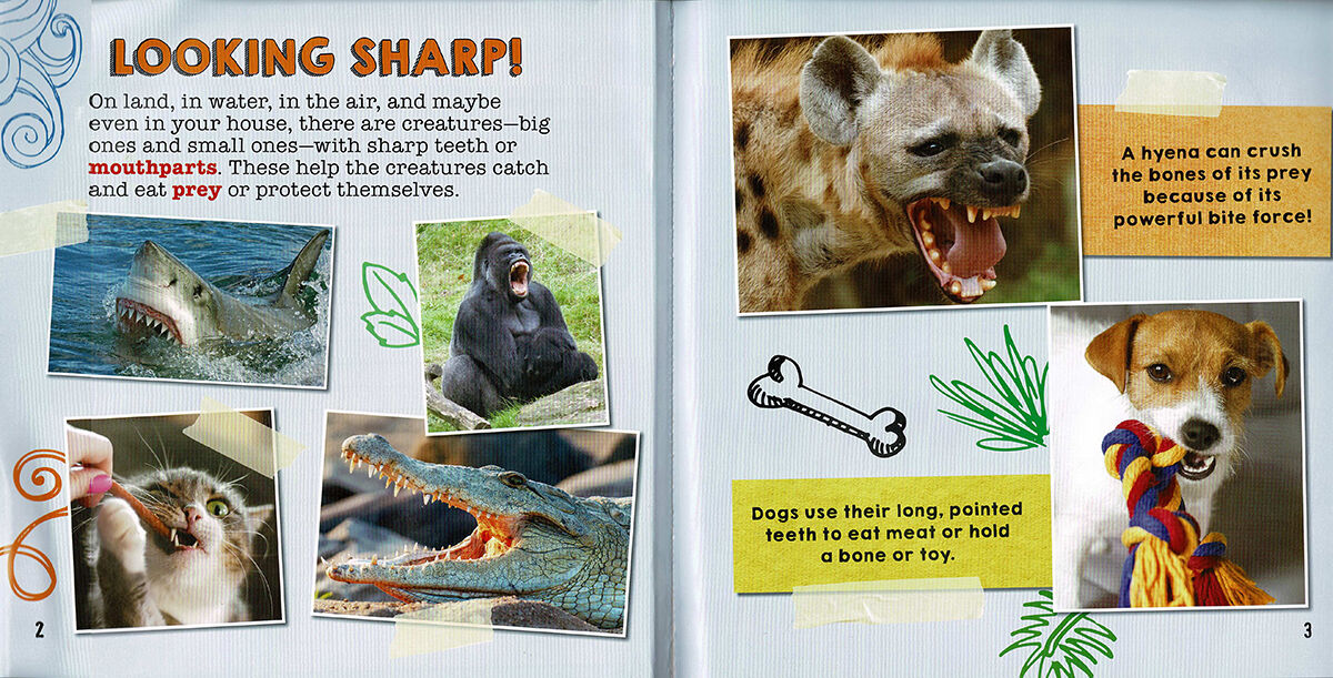 Thumbnail 3Animal Bites