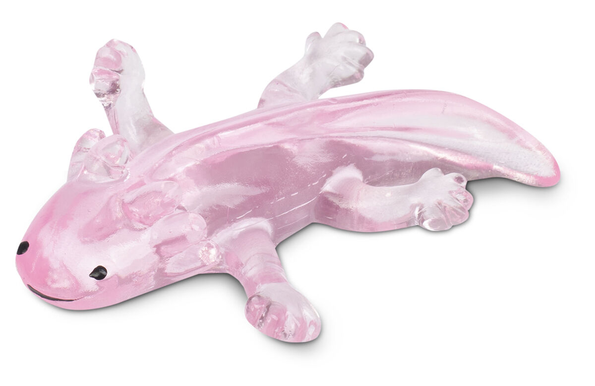 Thumbnail 5 Which Cute Creature Are You? 