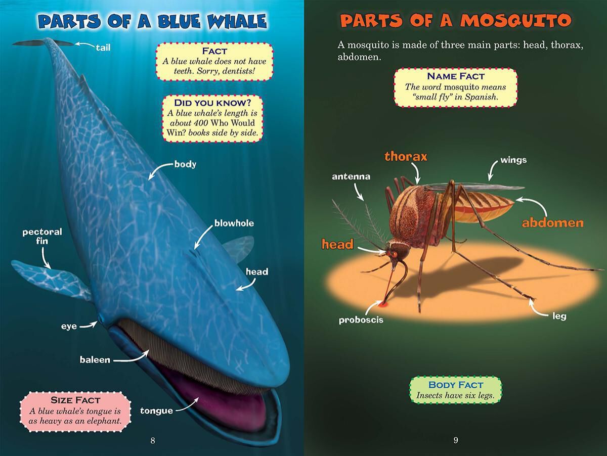 Thumbnail 4 Who Would Win? Blue Whale vs. Mosquito 