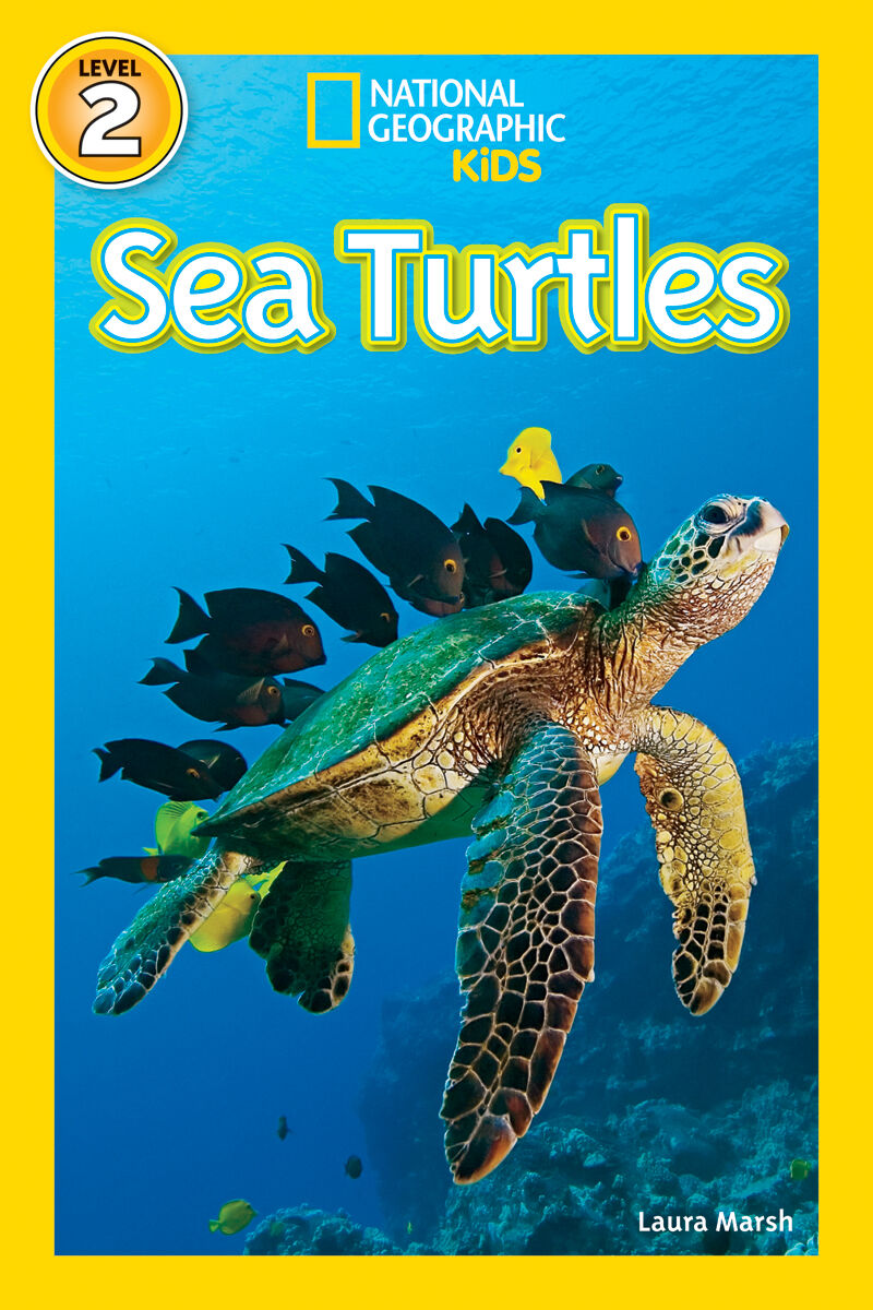 Thumbnail 4 PACK: NG: SEA LIFE READER 4 PACK 