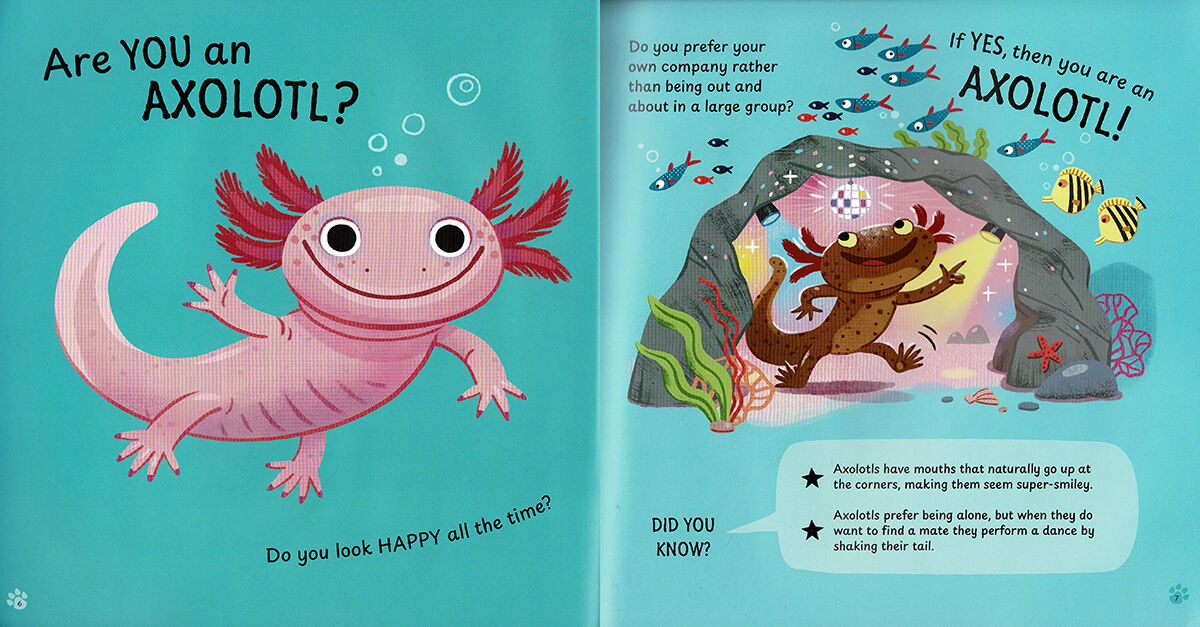 Thumbnail 3Which Cute Creature Are You?