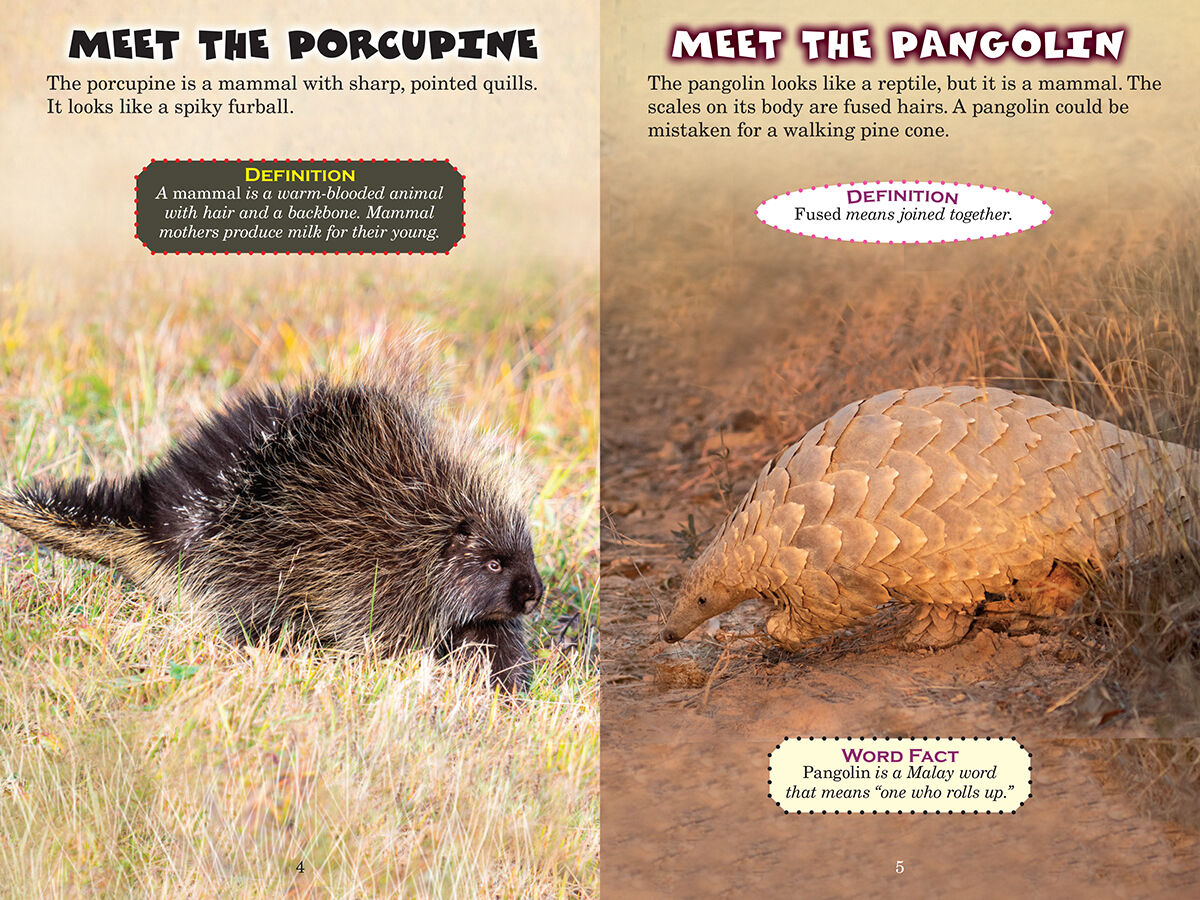 Thumbnail 2 Who Would Win?: Porcupine vs. Pangolin 