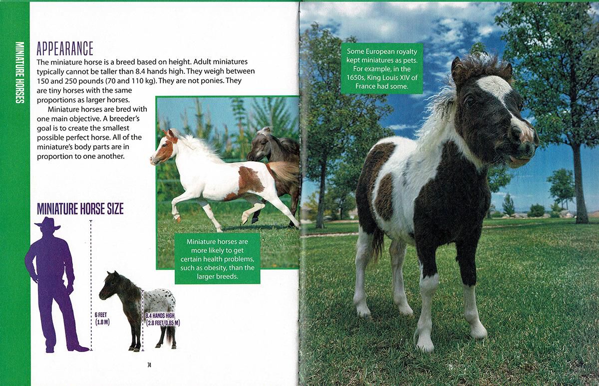 The Horse Encyclopedia for Kids | Scholastic Canada Clubs de