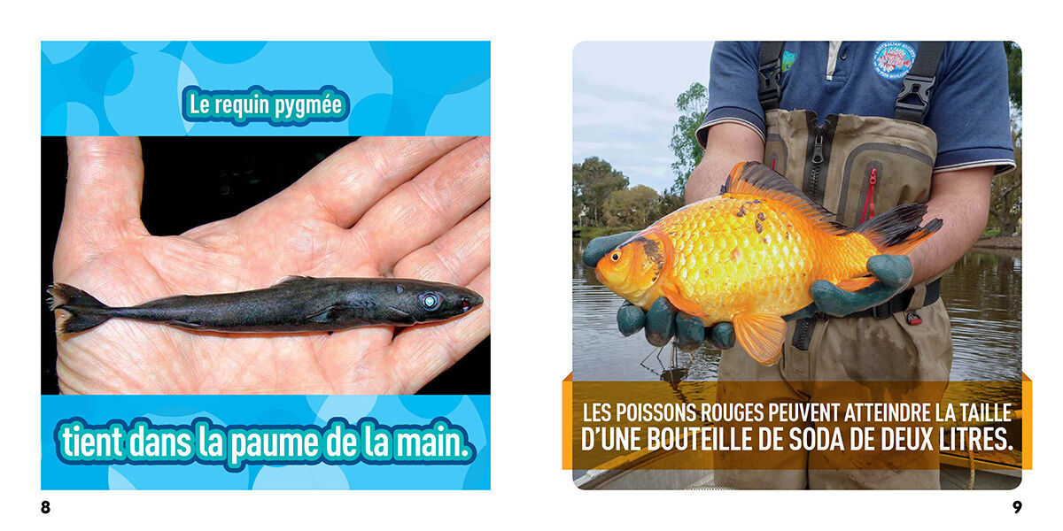 Thumbnail 4National Geographic Kids : Bizarre mais vrai! Les animaux