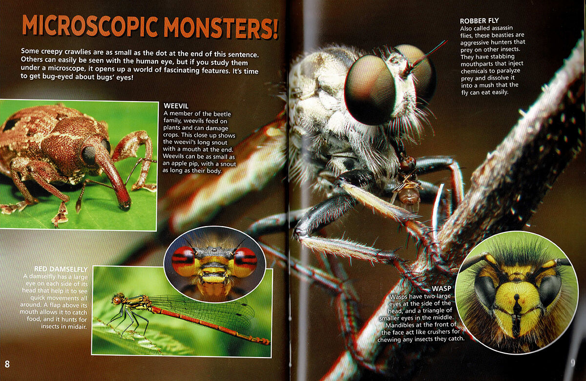 Thumbnail 5 Mini Beasts in 3D 