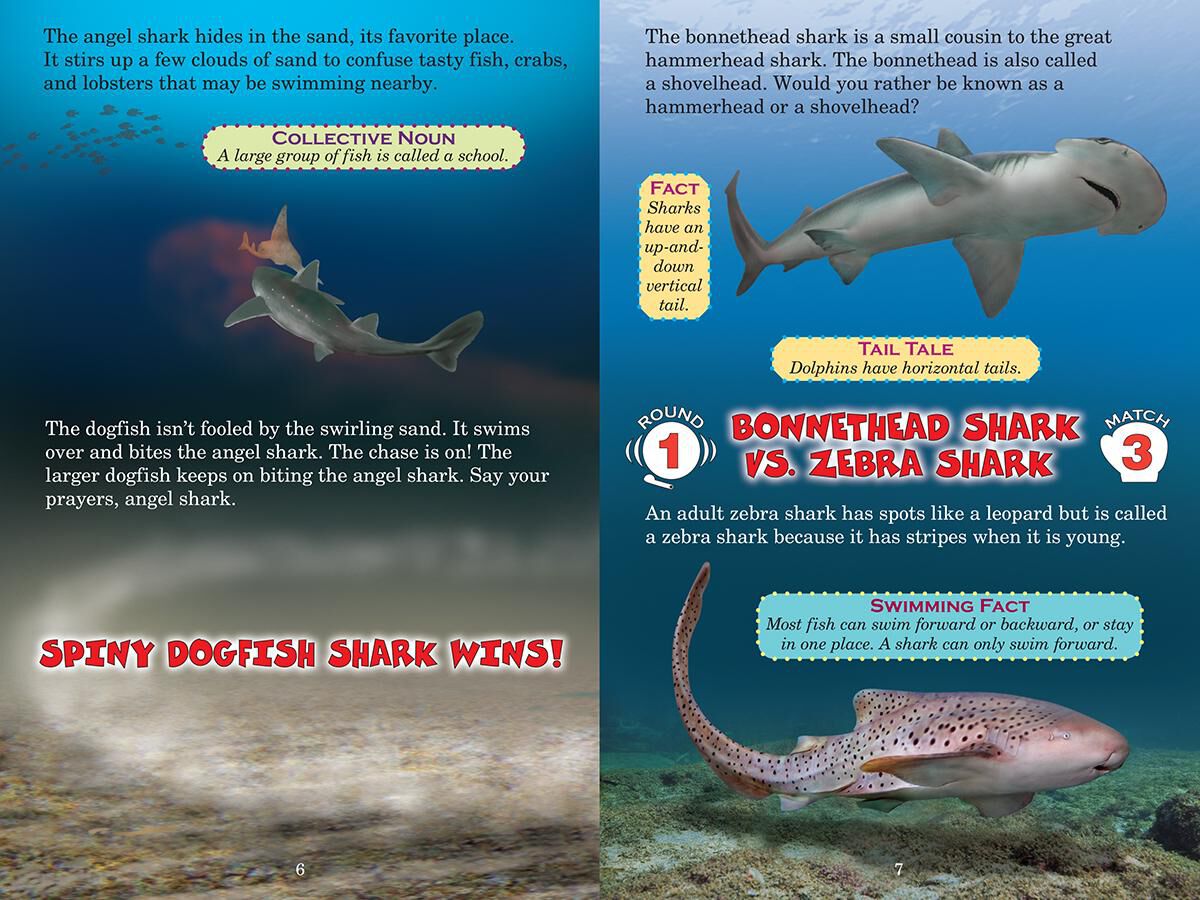 Thumbnail 3 Who Would Win? Ultimate Small Shark Rumble 