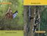 Thumbnail 7 National Geographic Kids: Animals in Action 15-Pack 