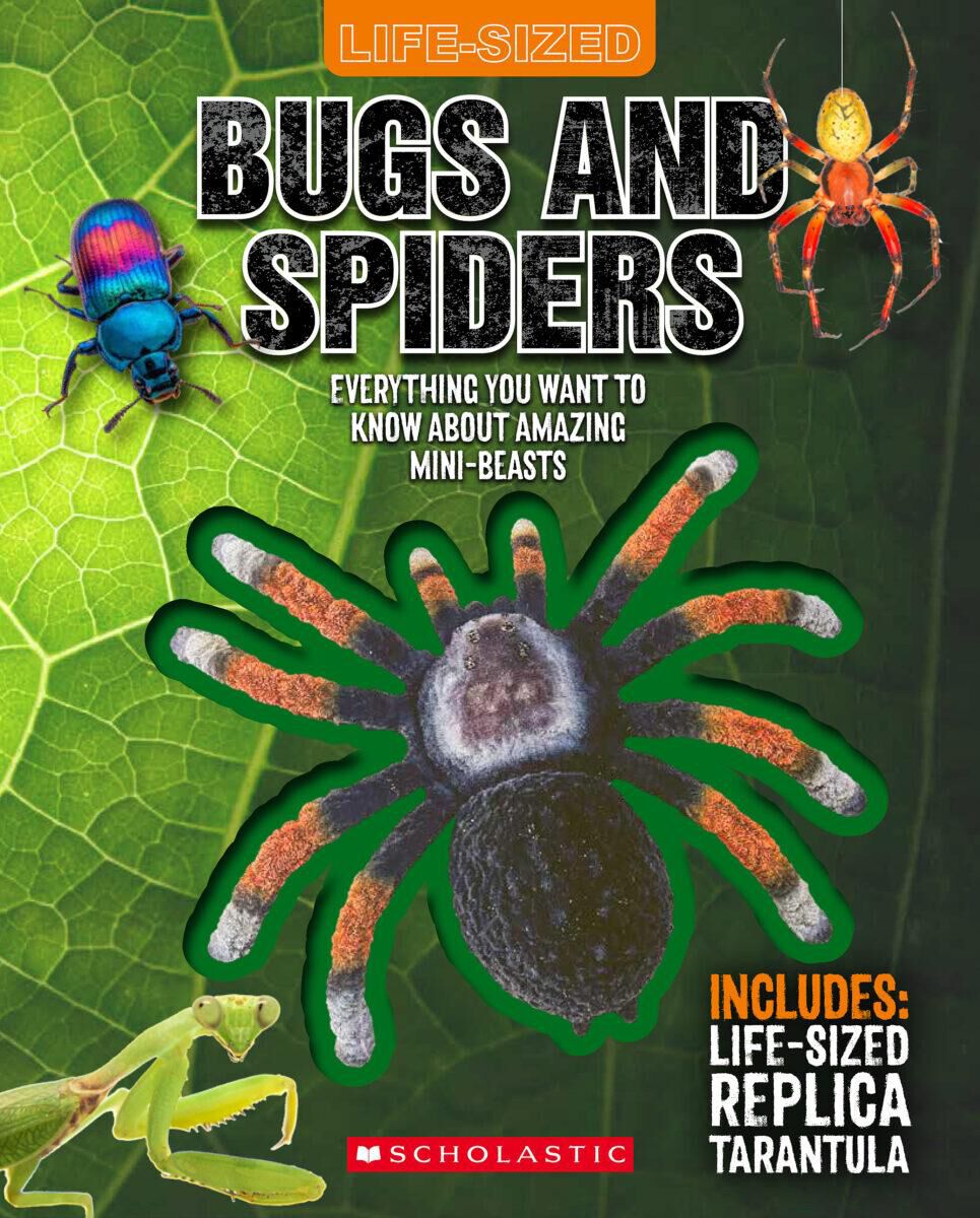 Life-Sized: Bugs and Spiders