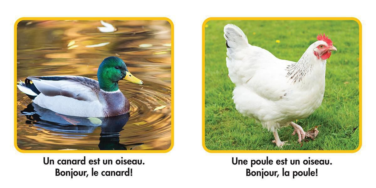 Thumbnail 7 National Geographic Kids : Ensemble de lecture 1 