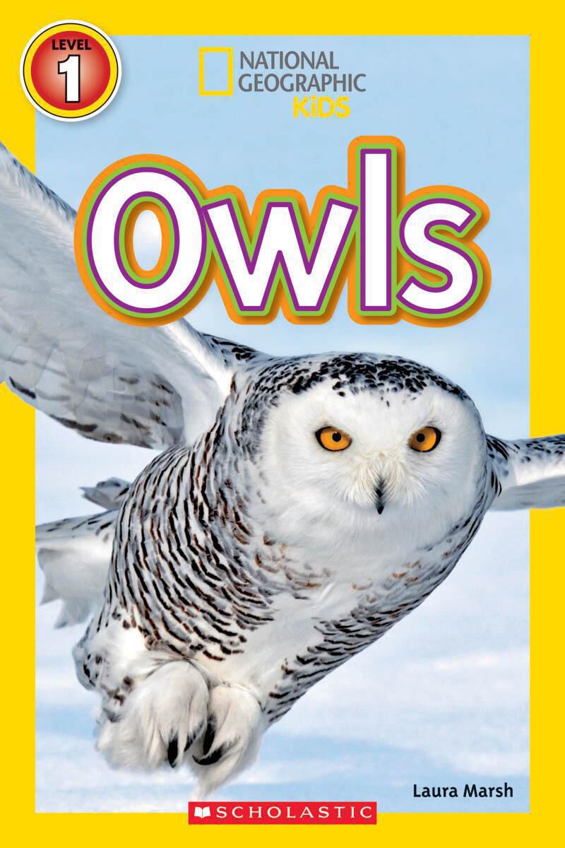  National Geographic Kids: Owls 