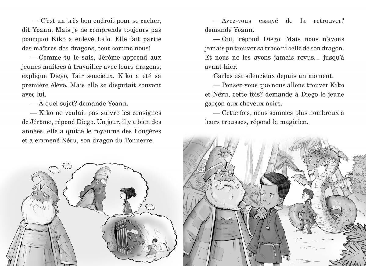 Thumbnail 5Ensemble de 5 livres-cadeaux Ma&icirc;tres des dragons - Tome 8