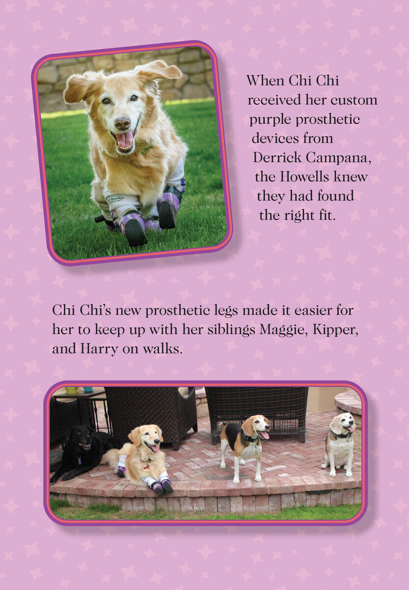 Thumbnail 4 Chi Chi's Story 