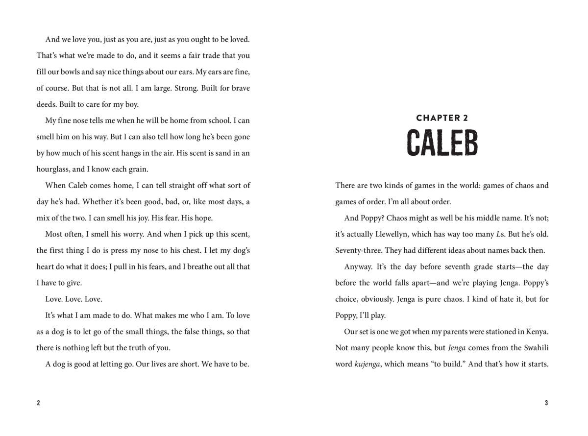 Thumbnail 2 At the Edge of Lost 