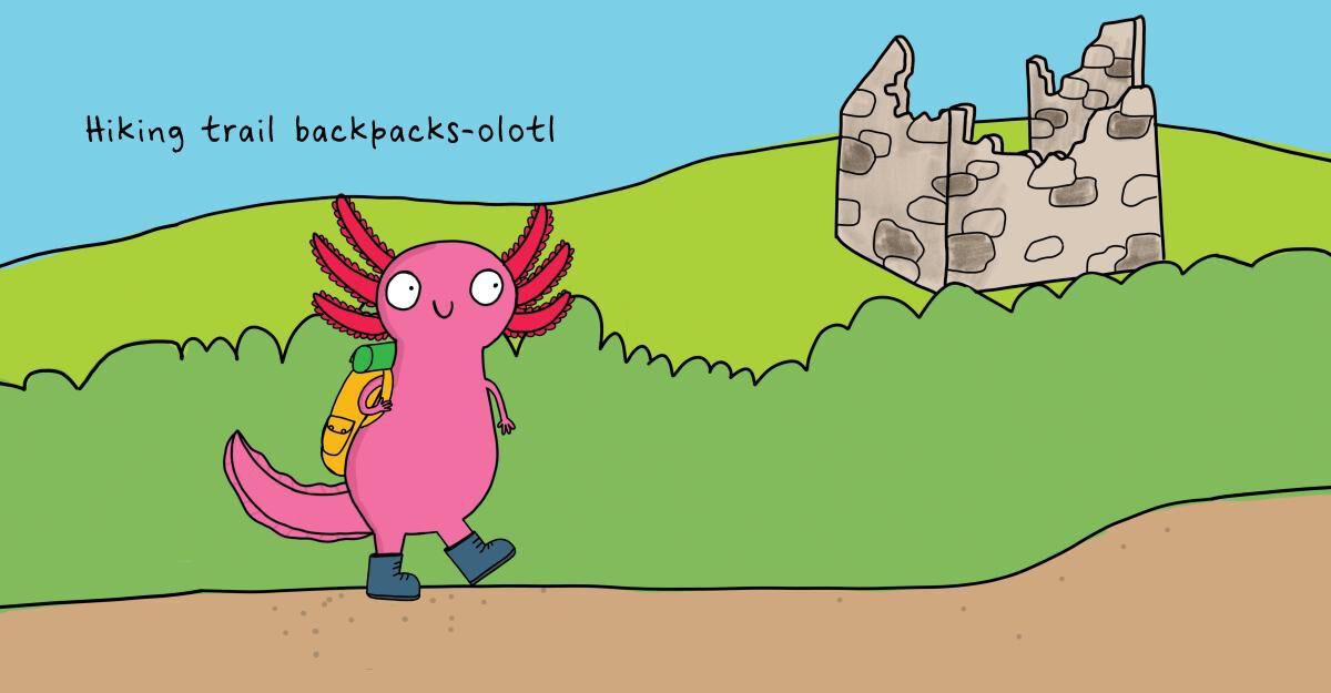 Thumbnail 3 No One Really Knows an Axolotl 