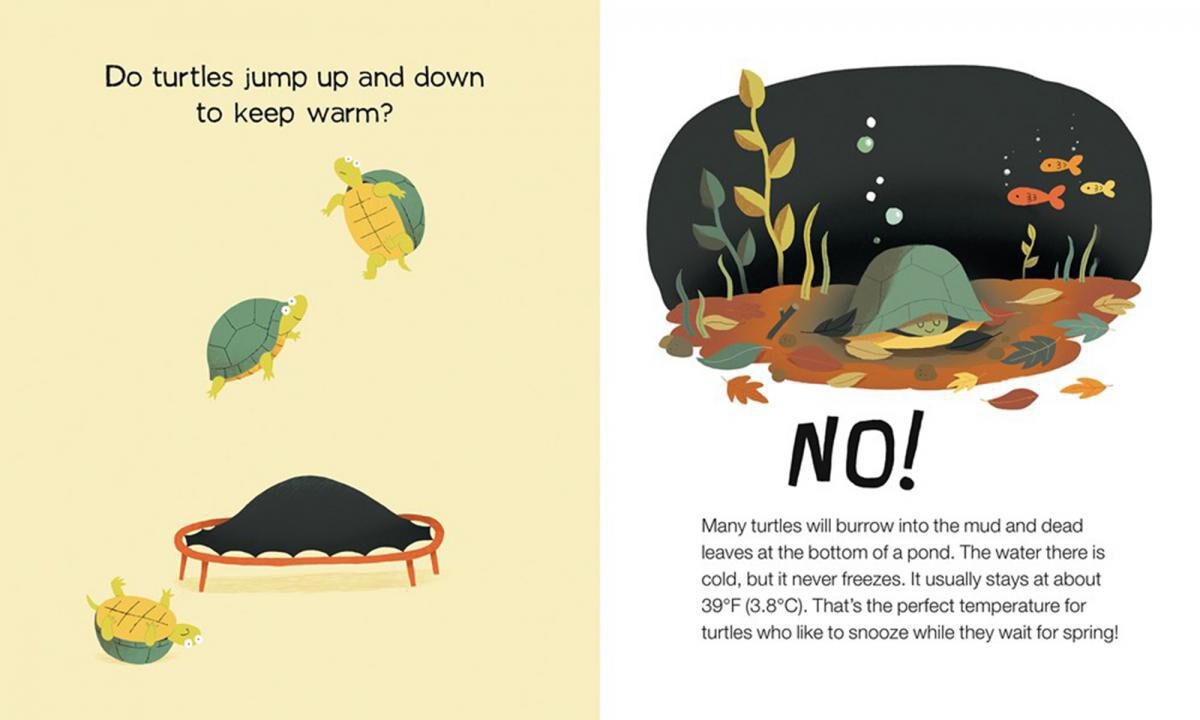 Do Frogs Drink Hot Chocolate? How Animals Keep Warm Scholastic Canada