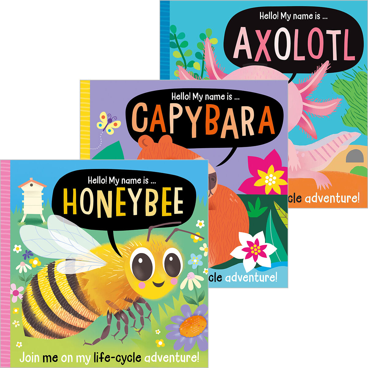 Hello! My Name is...Animal Lifecycles 3-Pack