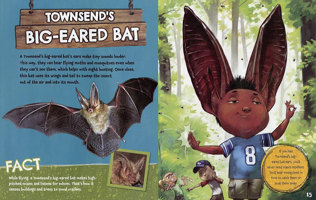 Thumbnail 7 What If You Had...!? 6-Pack 