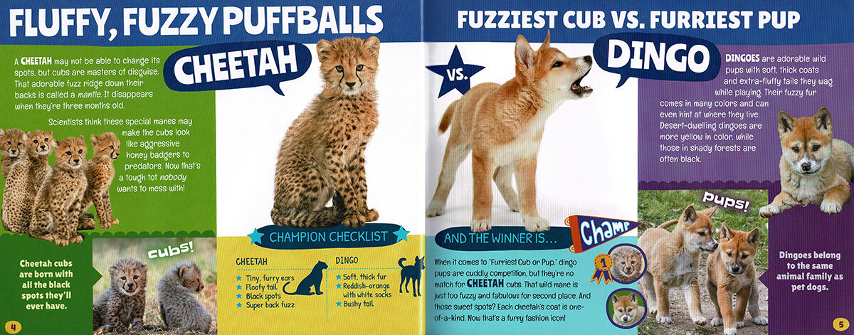 Thumbnail 3Cubs vs. Pups: Battle of the Cutest Babies