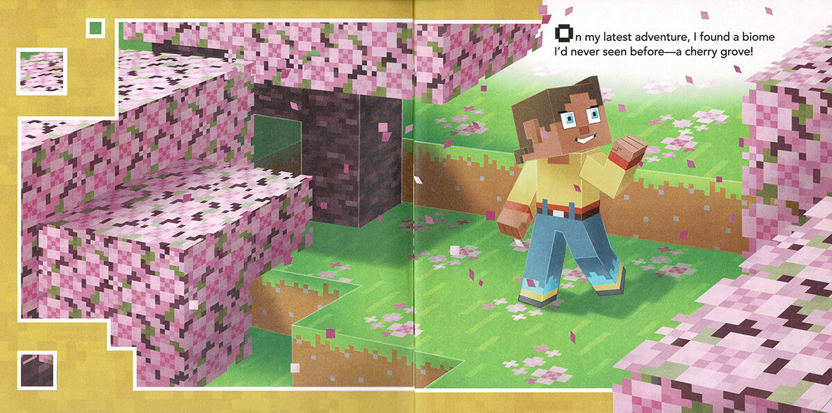 Thumbnail 7Minecraft Picture Book Pack