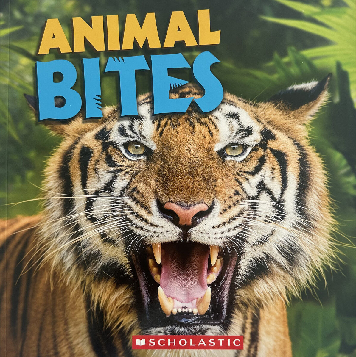 Thumbnail 5 Bites 4-Pack 