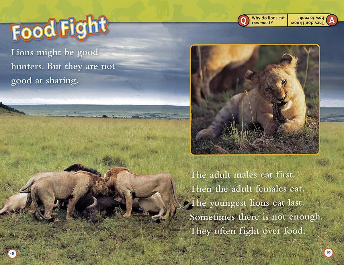 Thumbnail 5National Geographic Kids: Fact Attack 12-Pack