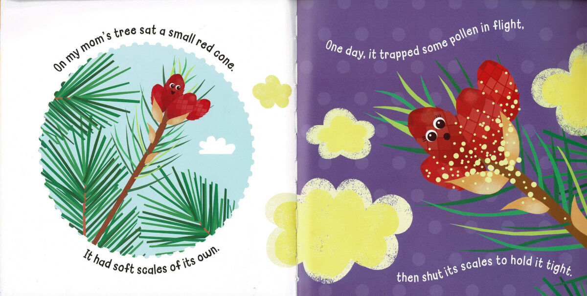 Thumbnail 4 Hello! My Name is... Pine Cone 