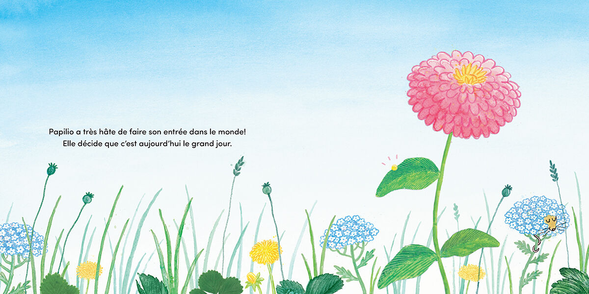 Thumbnail 2Papilio : De chenille &agrave; papillon