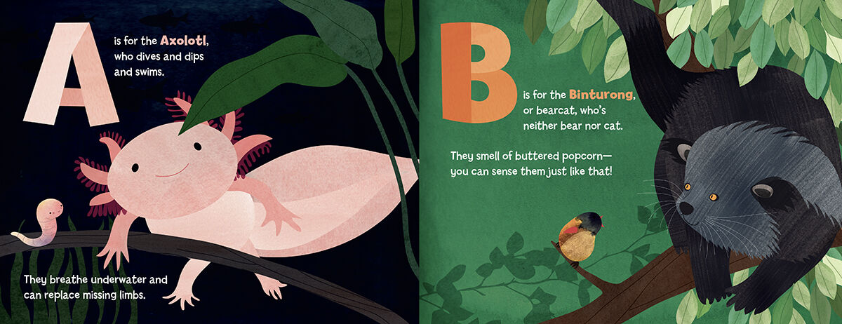 Thumbnail 2A Is for Axolotl: An Unusual Animal ABC